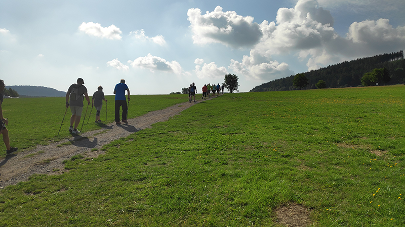 Nordic Walking Gruppe geht durch eine Wiese